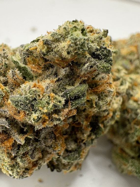 Horchata 23.1% balanced hybrid