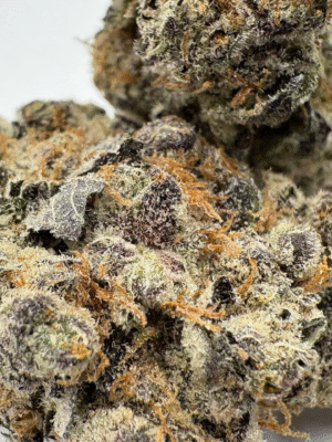 Lung buster 25.7 % indica dominant