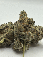 Oreo 26.4% indica dominant