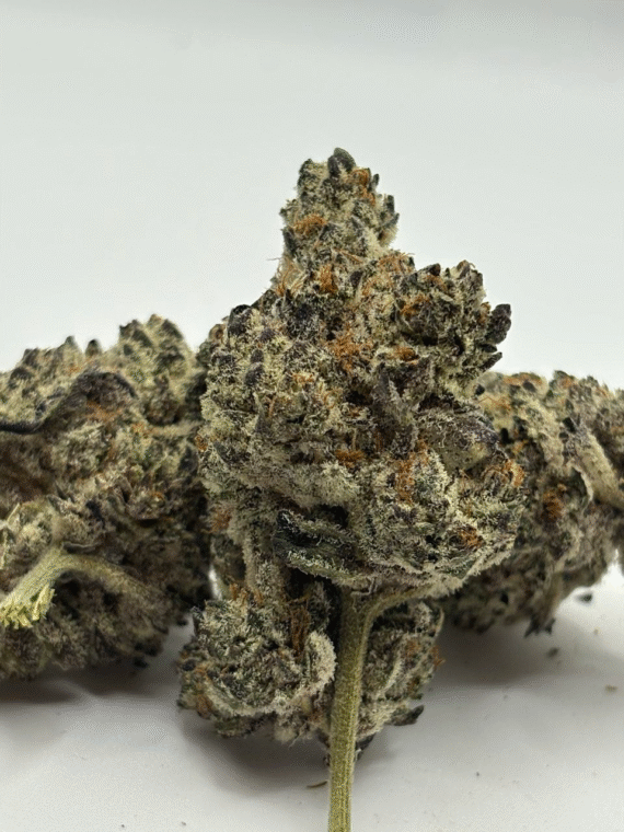 Oreo 26.4% indica dominant