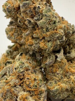 Tahoe snow indica dominant 24.8% indica dominant