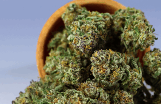 Buy Online Weeds: A Complete Guide to Cannabis Shopping Online