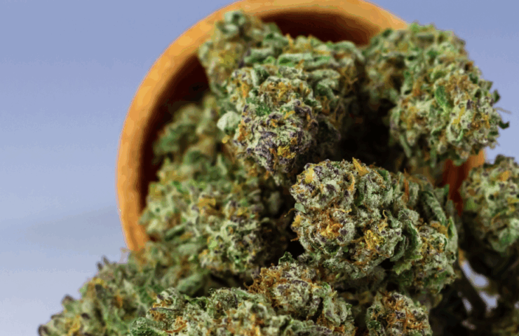 Buy Online Weeds: A Complete Guide to Cannabis Shopping Online