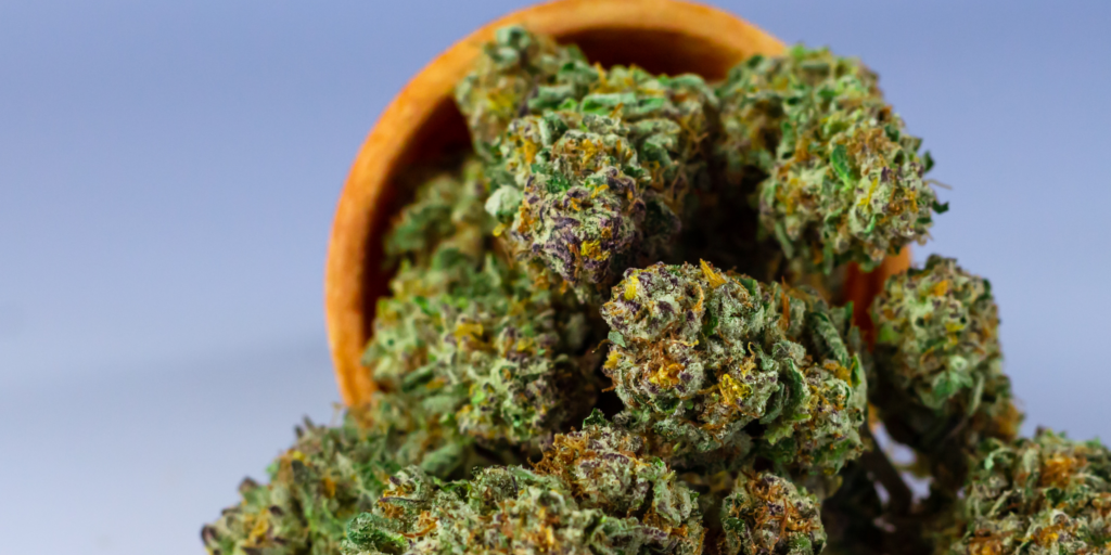 The Key Benefits of Medicinal Weed Explained