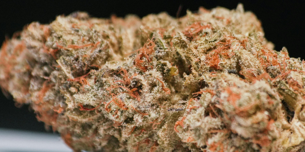 Cannabis flowering stage