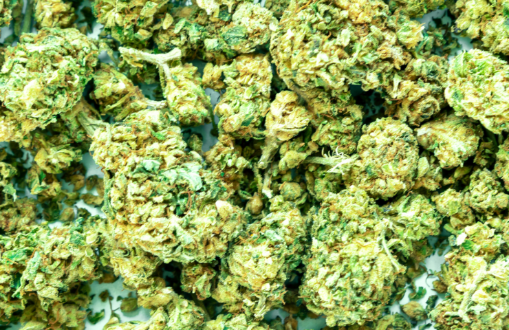 6 Benefits of Medicinal Weed for Your Health